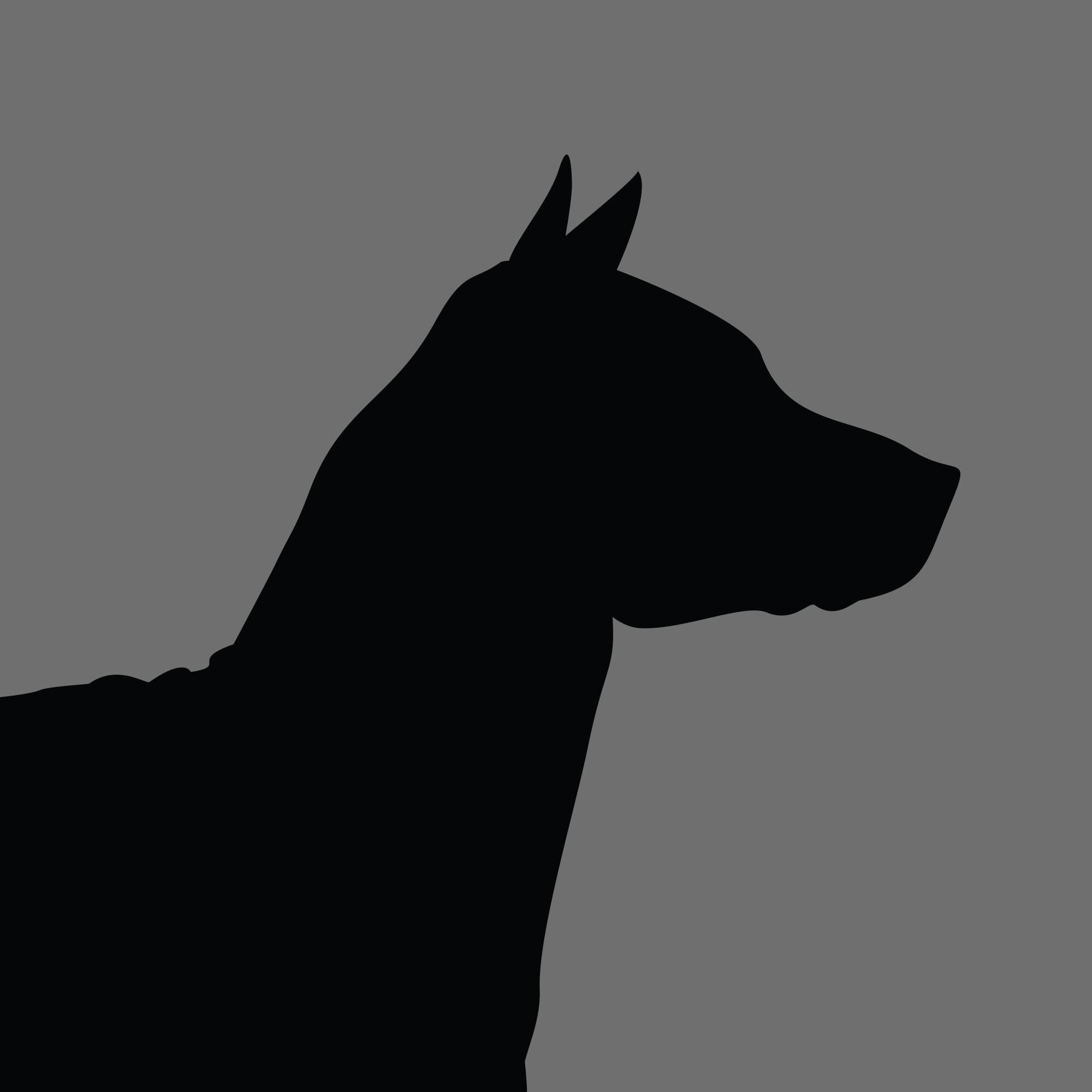 Dog Silhouette Square Xoloitzcuintle e1618456584575