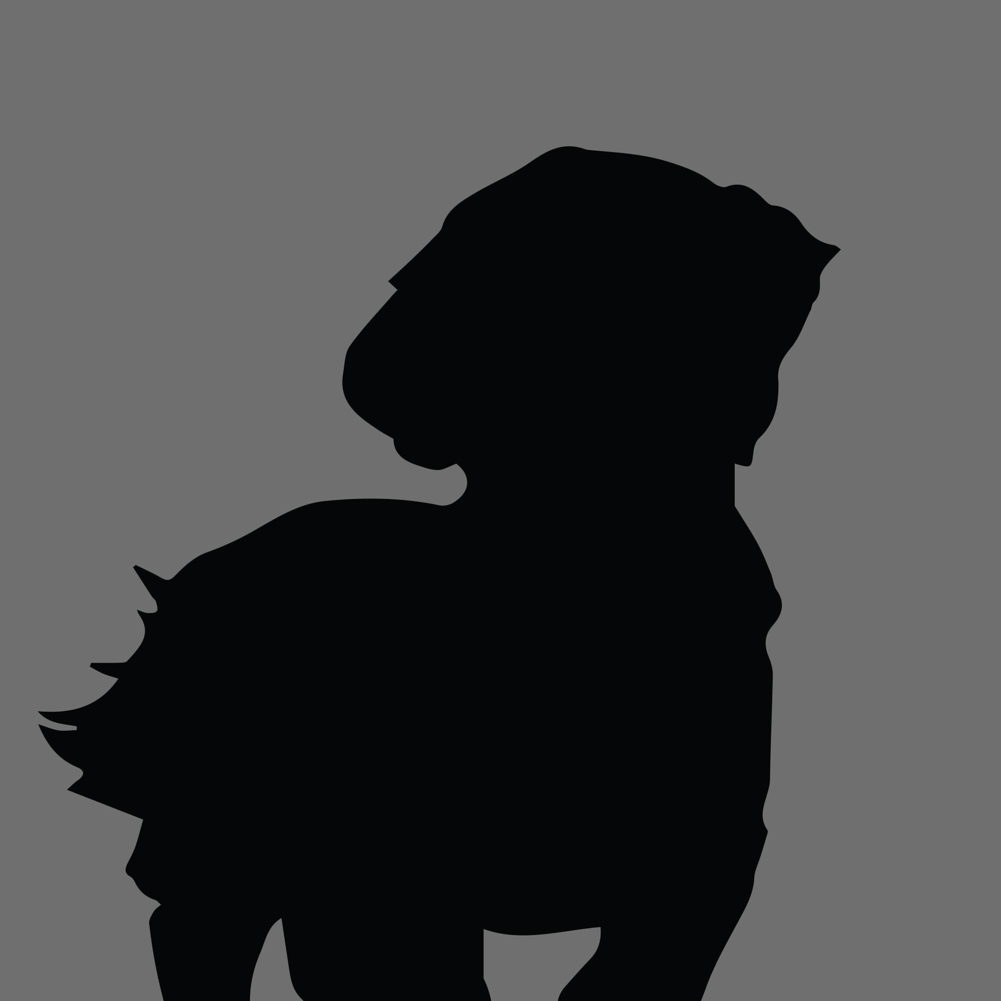 Dog Silhouette Square Zuchon e1618940183715