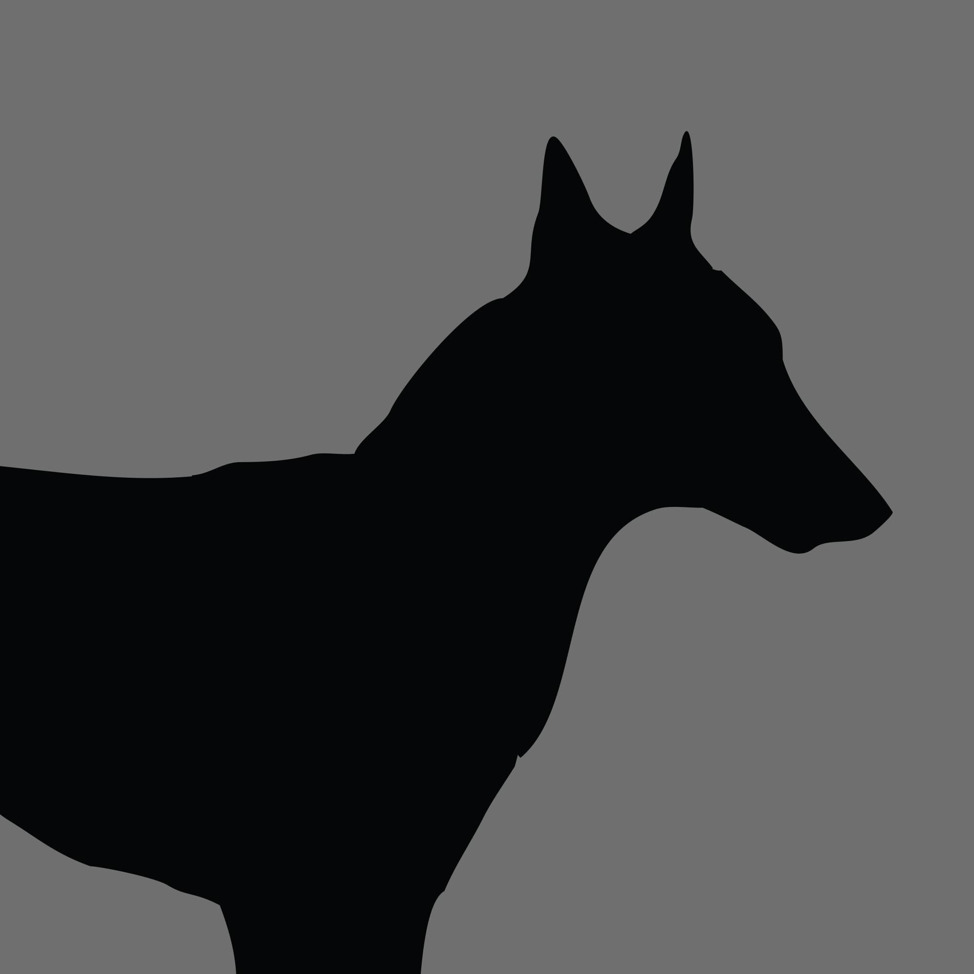 Dog Silhouette Belgian Shepherd e1618456527912