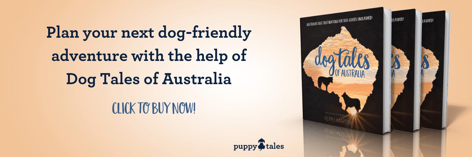 Plan your next dog-friendly adventure with the help of Dog Tales of Australia