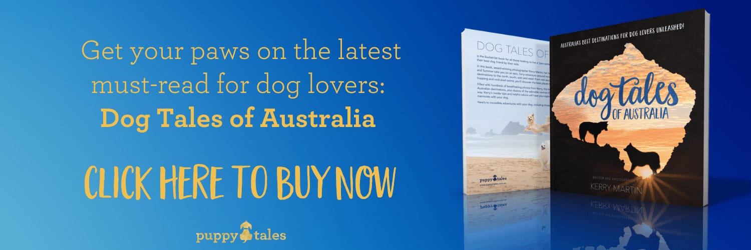 Get the latest must-read for dog lovers: Dog Tales of Australia