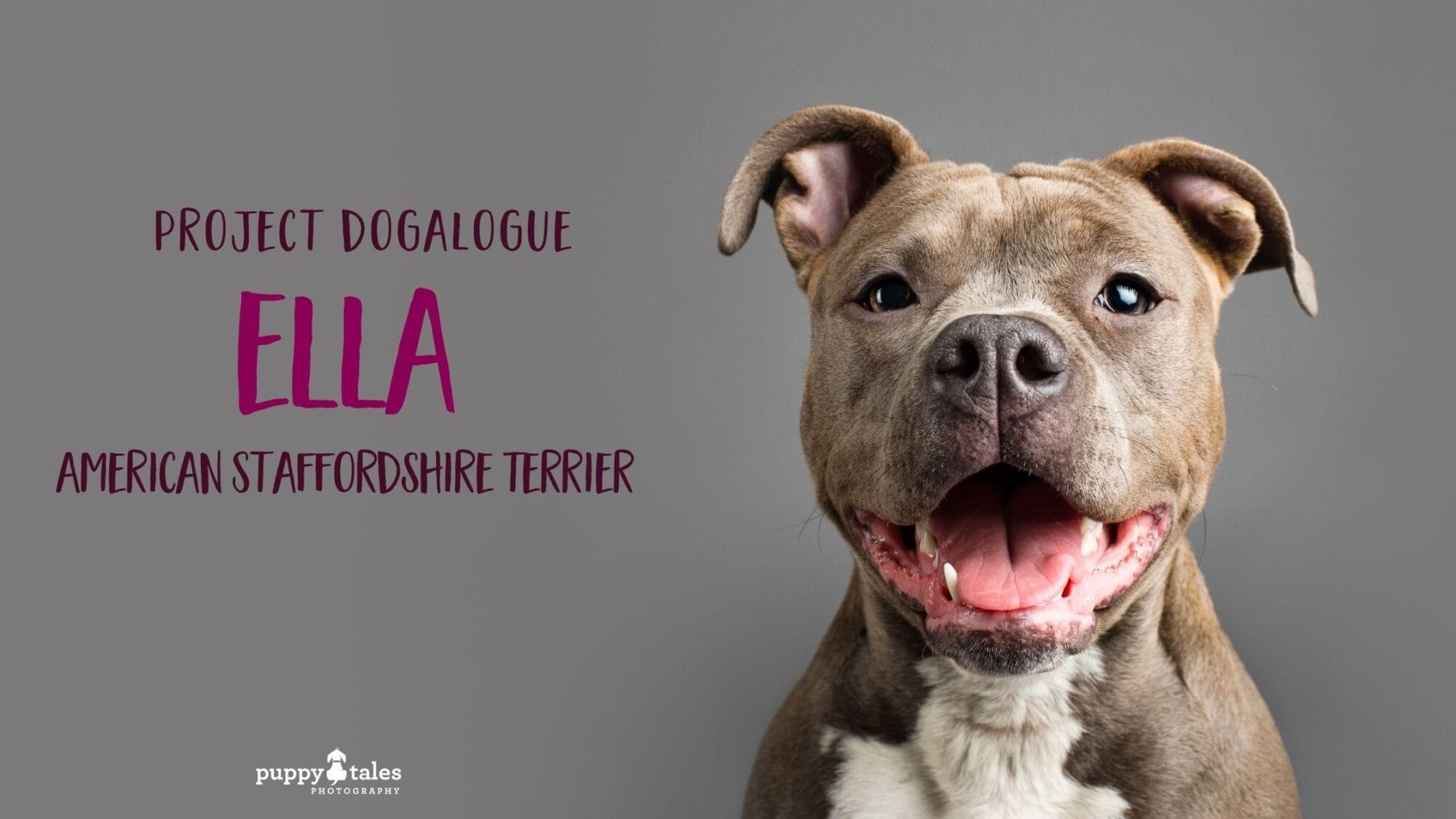 Ella Dogalogue Title 2