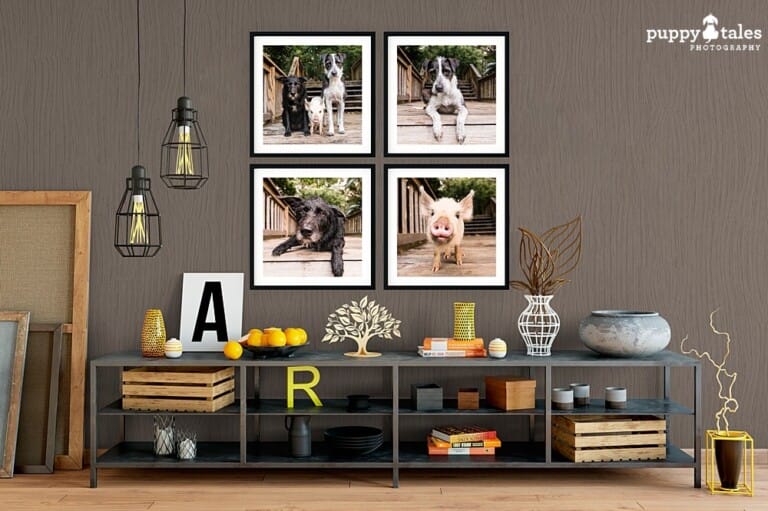 Framed Home View Full