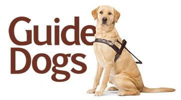 Guide Dogs