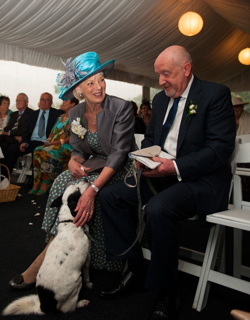 Having your dog at your wedding