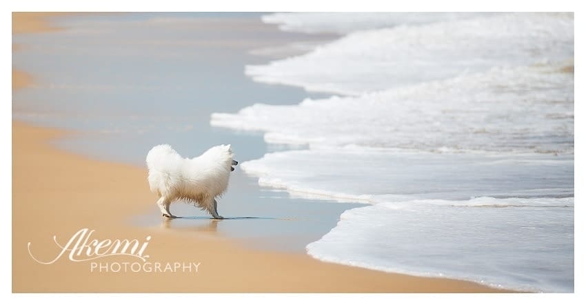 Keiko at the Beach 6