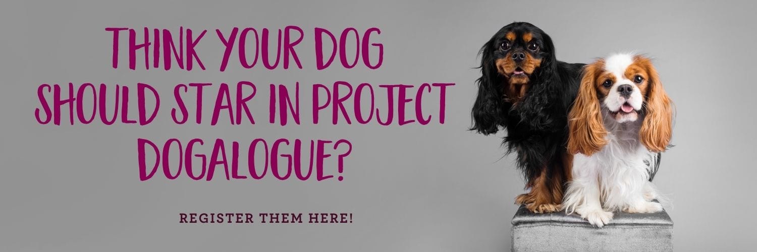 Lance Angus Dogalogue Call to Action 4