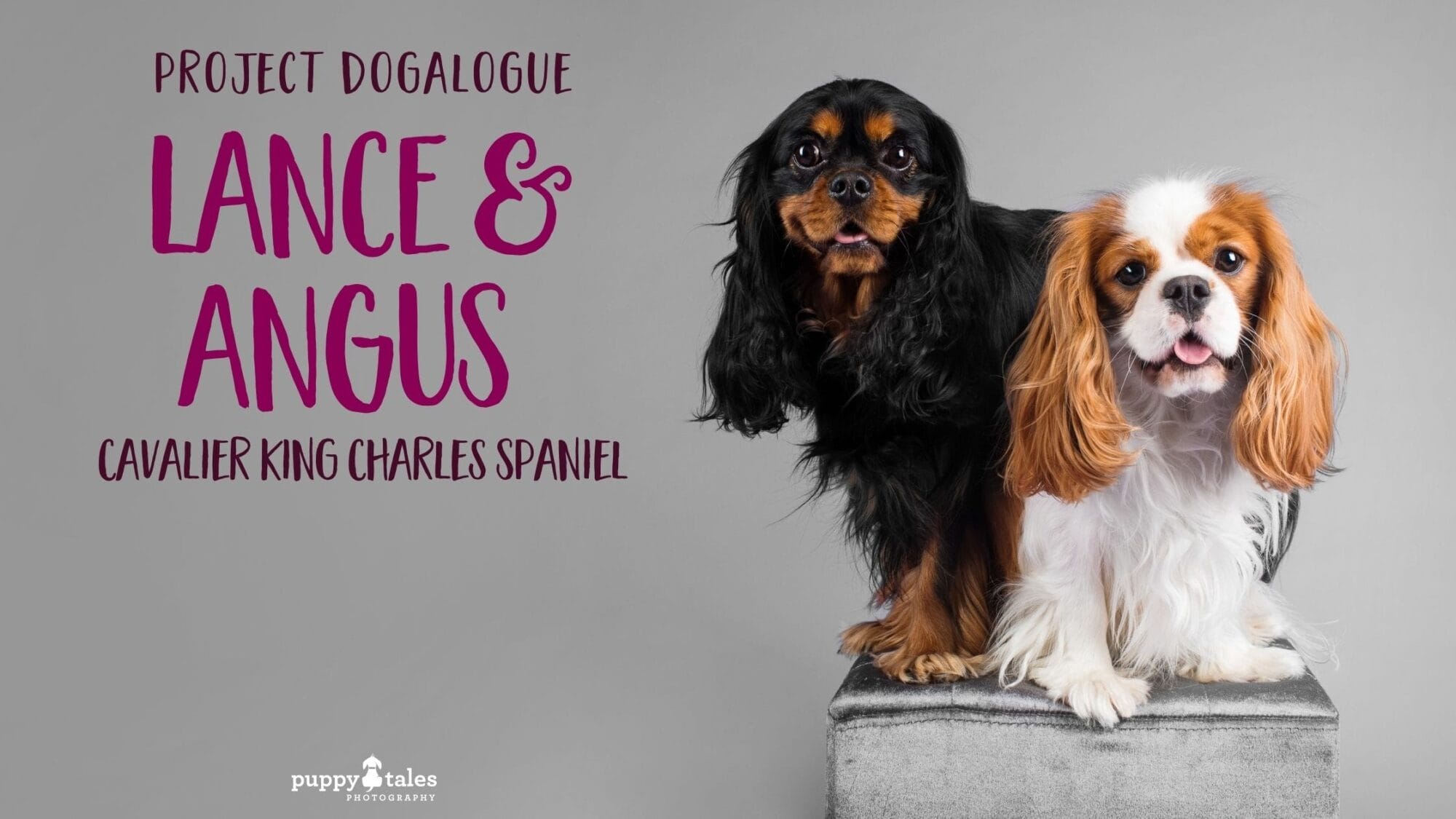 Lance Angus Dogalogue Title 1
