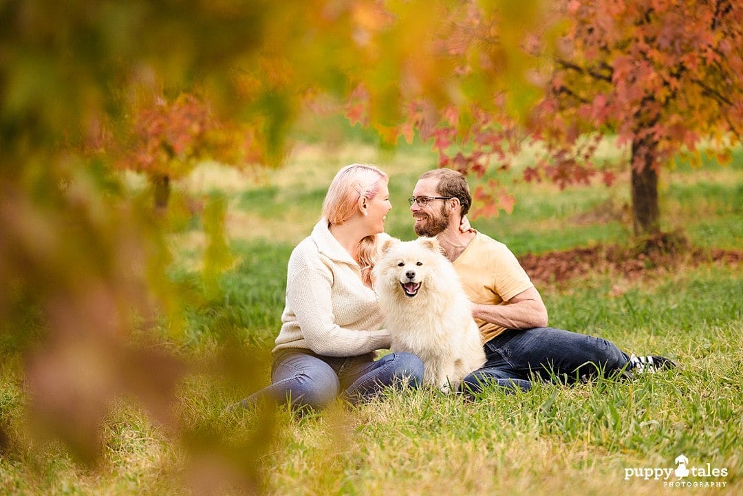 Beautiful family photo with Lumi the lappie for their photo session in Canberra