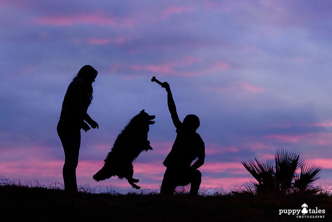 Silhouette photo of Lumi with her human parents for their dog photo session in Canberra