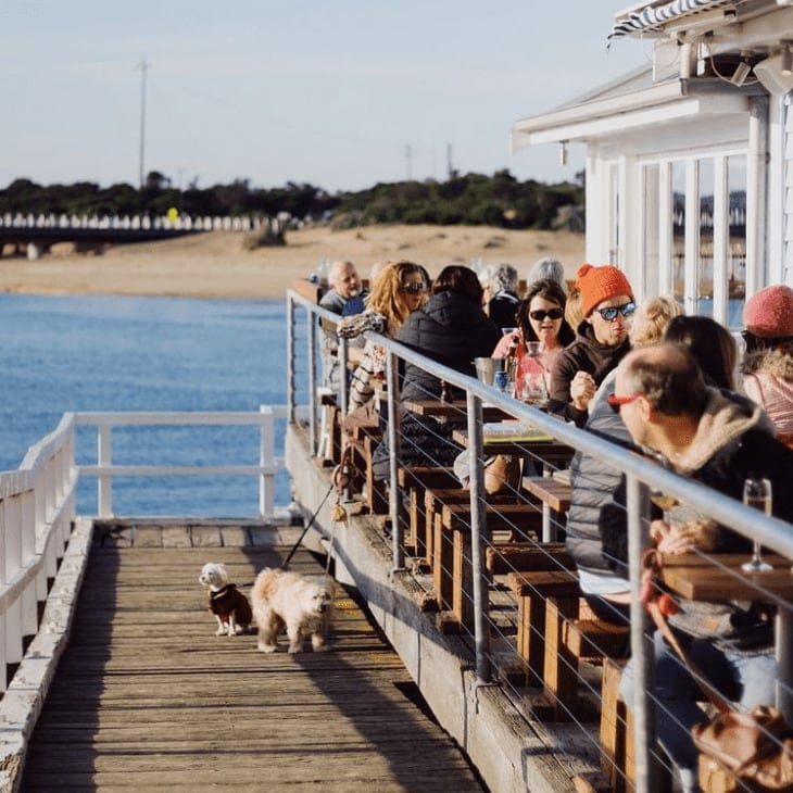 Multiple groups of people are seen dining outside the dog friendly eatery in Melbourne with their dogs