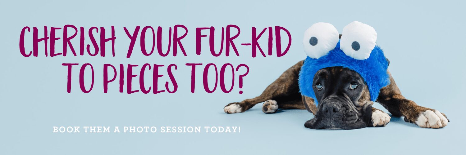 Preserve the memories of your furry friend with a photo session by Kerry Martin of Puppy Tales Photography. Book now and cherish the souvenir of your beloved dog for a lifetime.