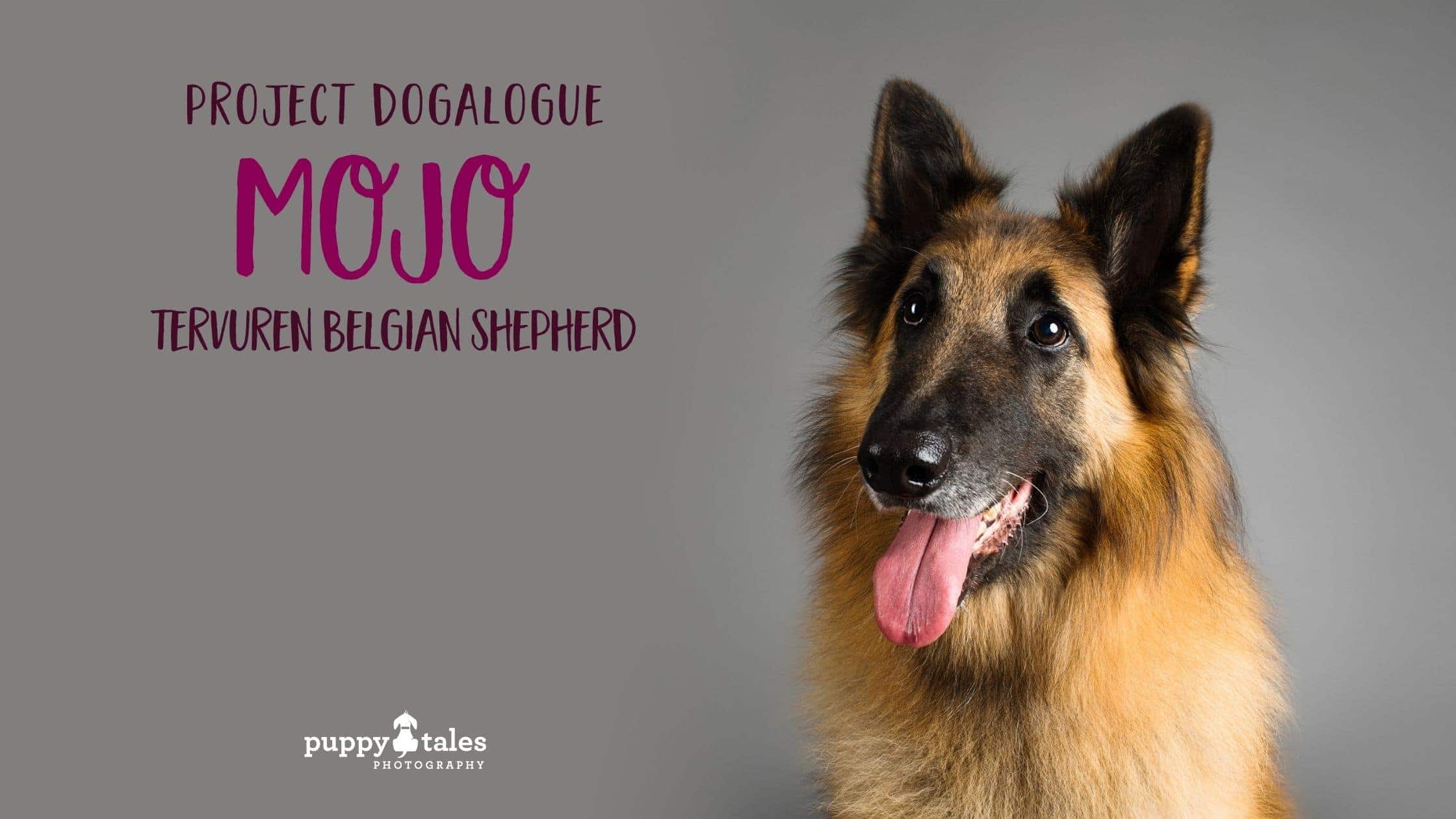 Mojo Dogalogue Title