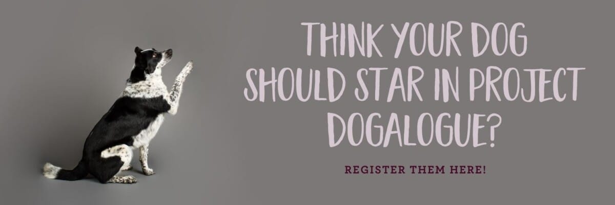 Molly Dogalogue Call to Action 2