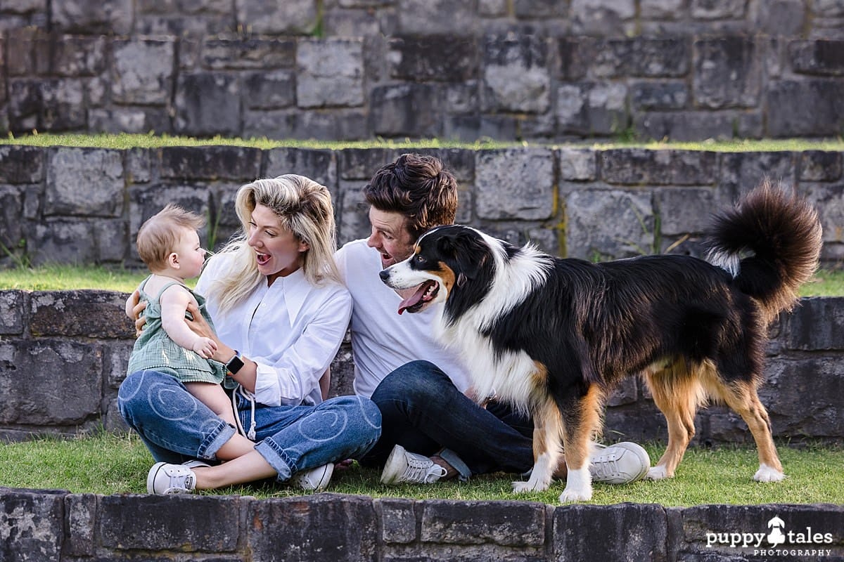 Beautiful family have a dog photo session at Wilson Botanic Park