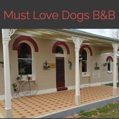 Must Love Dogs BB