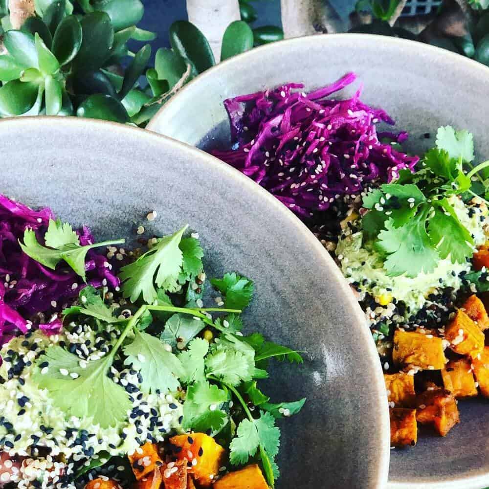 Fresh and healthy food in a bowl from a pet friendly cafe in Melbourne