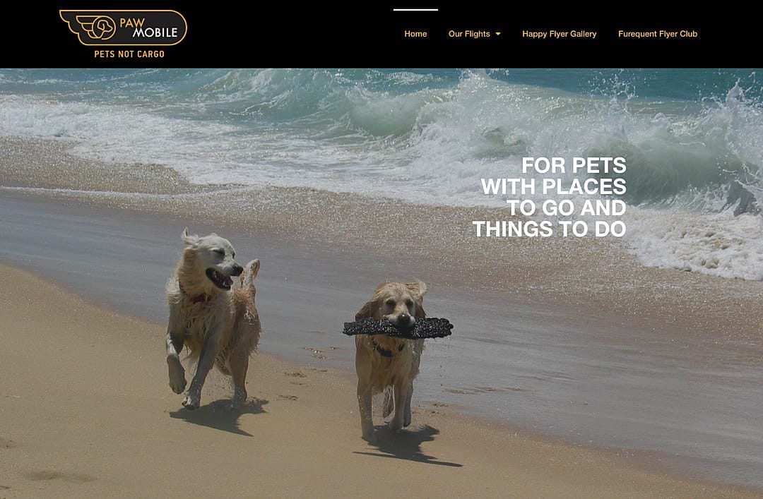 Pawmobile for pet charter services can also help you transport your dog when travelling to Tasmania with them