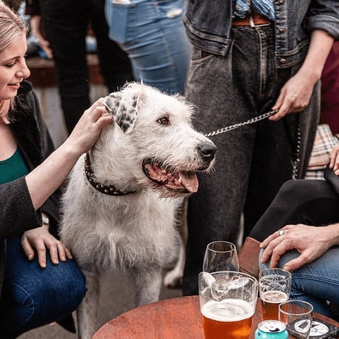A group of people and their dog in the center on the outdoor space of this pet friendly cafe around inner Eastern Melbourne