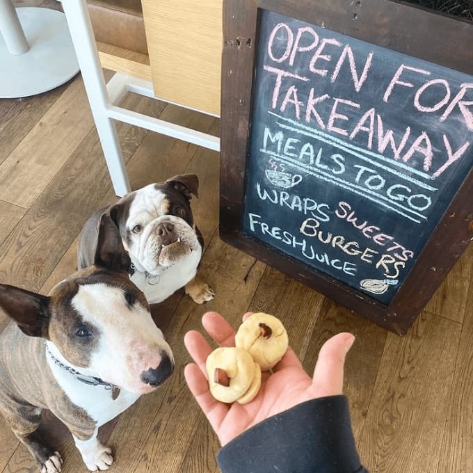 Two dogs looking up at the camera while their owner holds a handful of dog treats in a Melbourne dog friendly cafe