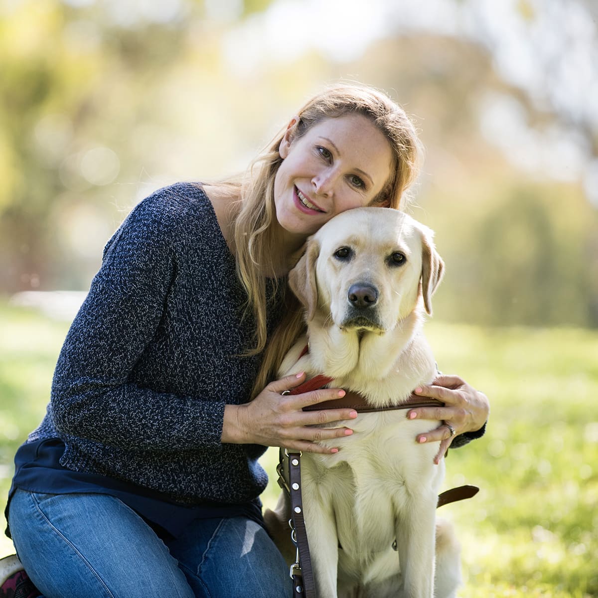 Poppi - Lab cross Retriever - Square