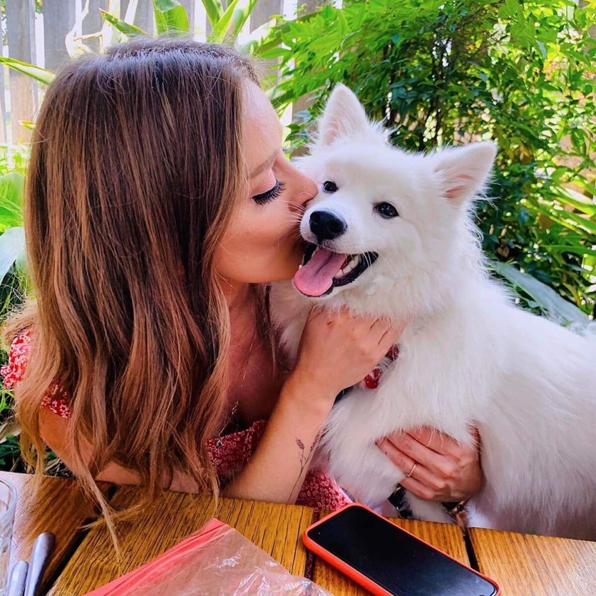 A loving dog owner showers their furry companion with affection as they stand outside a pet-friendly restaurant in Melbourne. The joyful pup returns the love with happy tail wags.