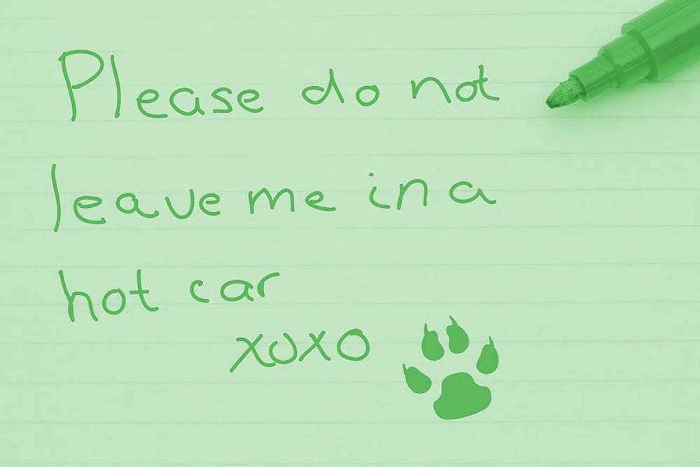 Message from Dogs - Please don't leave me in a hot car