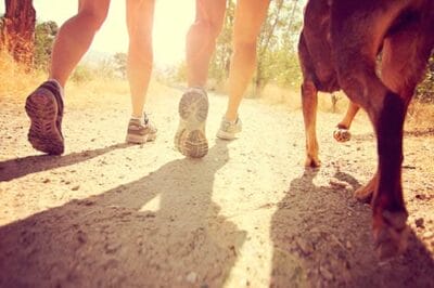 Hiking with your dog in the Summer