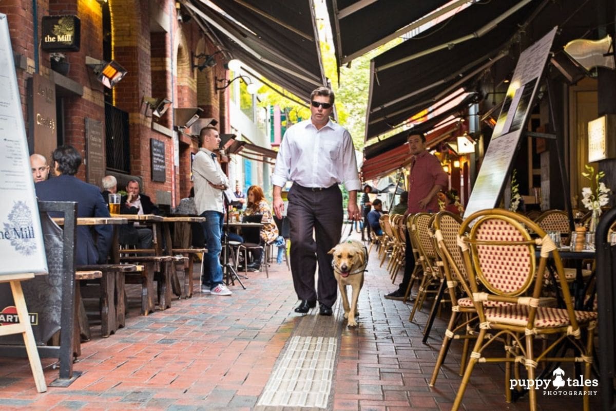 David and Guide Dog Ollie in the Melbourne CBD