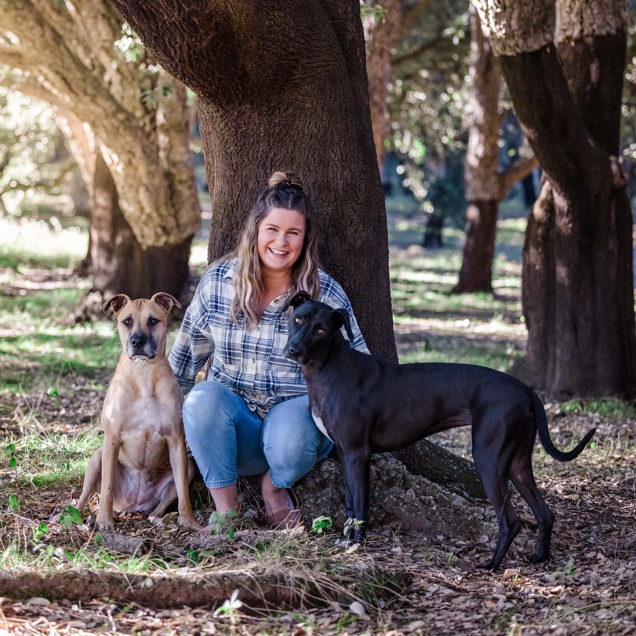 puppytalesphotography bella 1 1