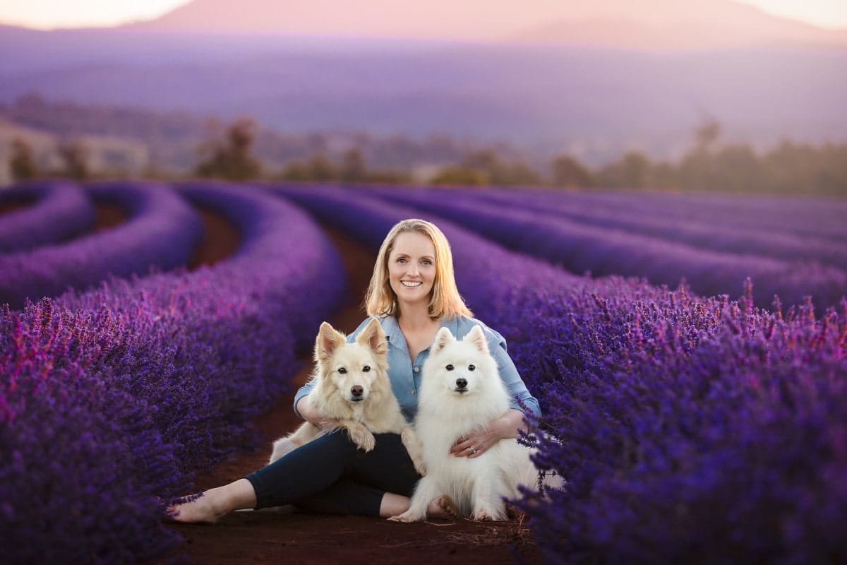 puppytalesphotography Bridestowe Lavender Estate TAS