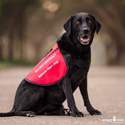 puppytalesphotography dogsname 1
