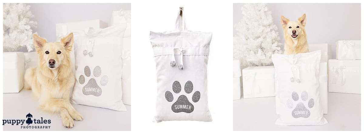 puppytalesphotography IdPets Doggo Santa Sack