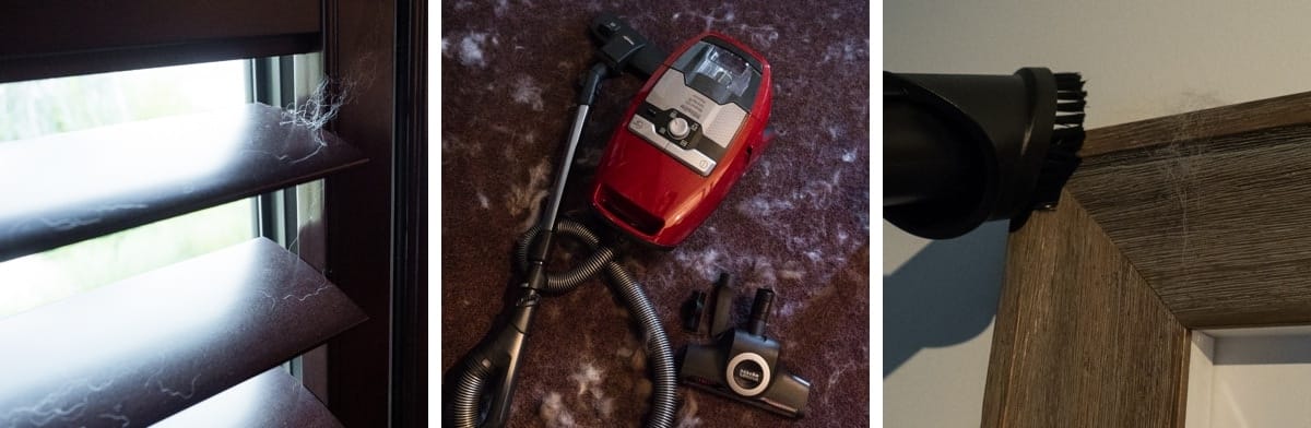 puppytalesphotography miele blizzard 13