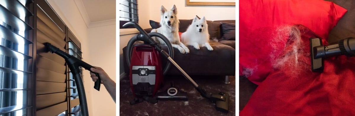 puppytalesphotography miele blizzard 24