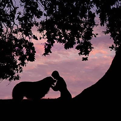 puppytalesphotography-nalah-lavenderfarm-46