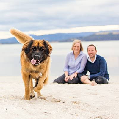 puppytalesphotography-nalah-Mortimer Bay Reserve-18