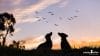 puppytalesphotography-on-location-1-2
