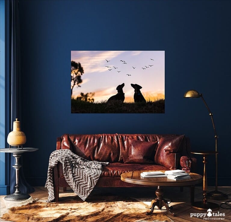 puppytalesphotography-on-location-wallart-2