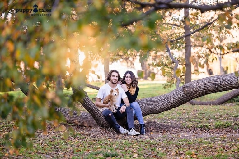 puppytalesphotography-onlocation-10