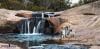 puppytalesphotography-onlocation-11