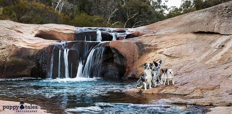 puppytalesphotography-onlocation-11