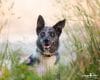 puppytalesphotography-onlocation-14