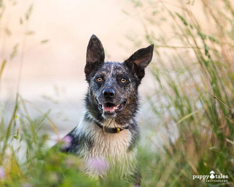 puppytalesphotography-onlocation-14