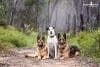 puppytalesphotography-onlocation-15