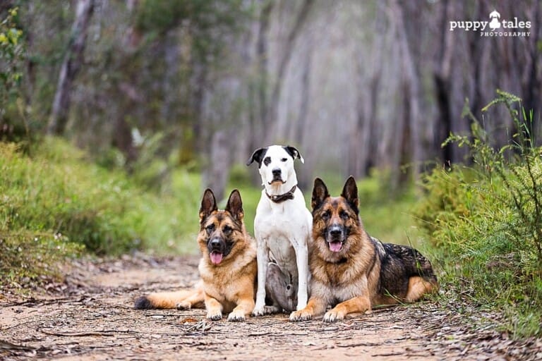 puppytalesphotography-onlocation-15