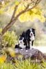 puppytalesphotography-onlocation-6