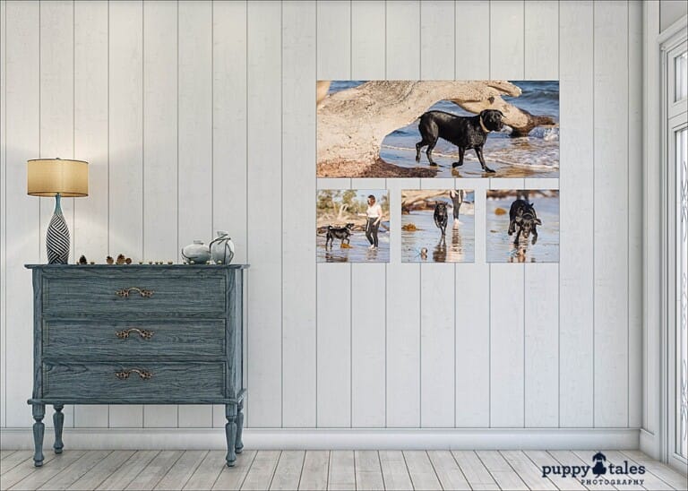 puppytalesphotography-onlocation-Wallart-2