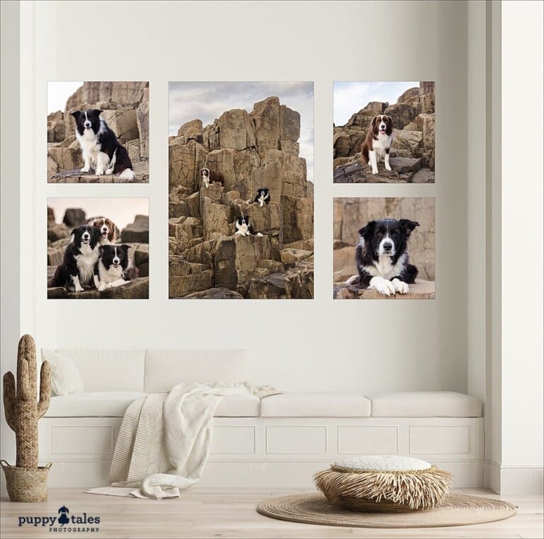puppytalesphotography-onlocation-Wallart-3