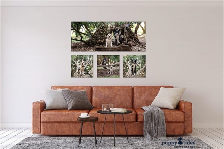 puppytalesphotography-onlocation-Wallart-4